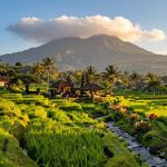 بالي جمالها جمالها الخلاب